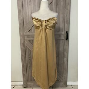 NWT Express gold shimmer, dress size large
